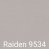 A - Raiden 9534
