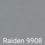 A - Raiden 9908