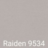 A - Raiden 9534