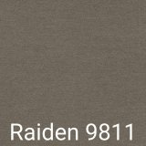 A - Raiden 9811
