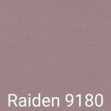 A - Raiden 9180