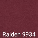 A - Raiden 9934