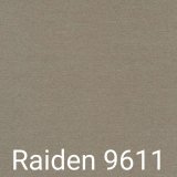 A - Raiden 9611