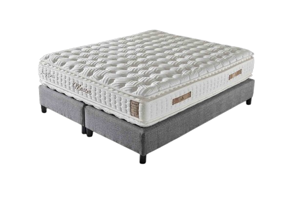 Levně Matrace MASTER NEW 100 × 200 cm